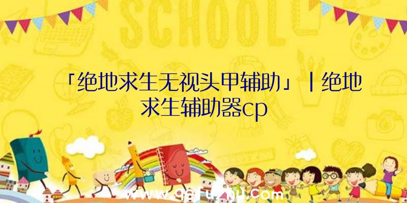 「绝地求生无视头甲辅助」|绝地求生辅助器cp